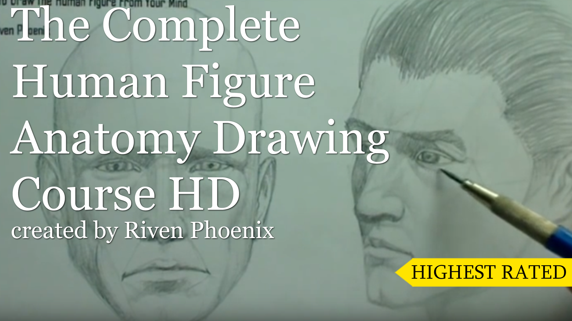 The Complete Anatomy Drawing Course HD
