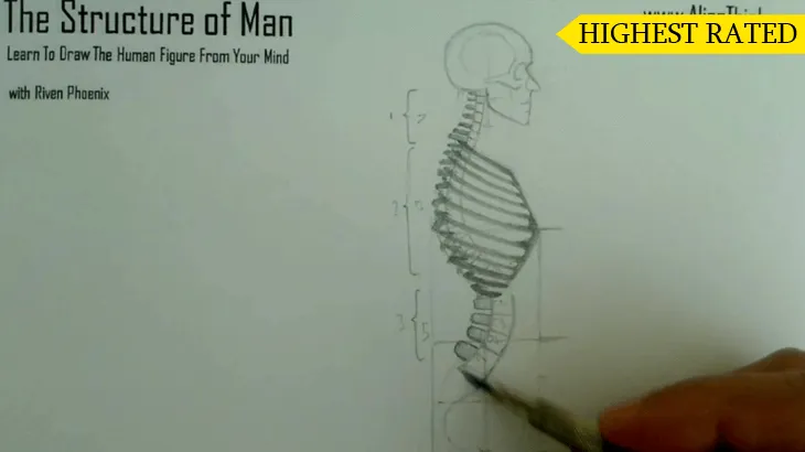A figure drawing plate from the Riven Phoenix figure drawing course, 1 of 12