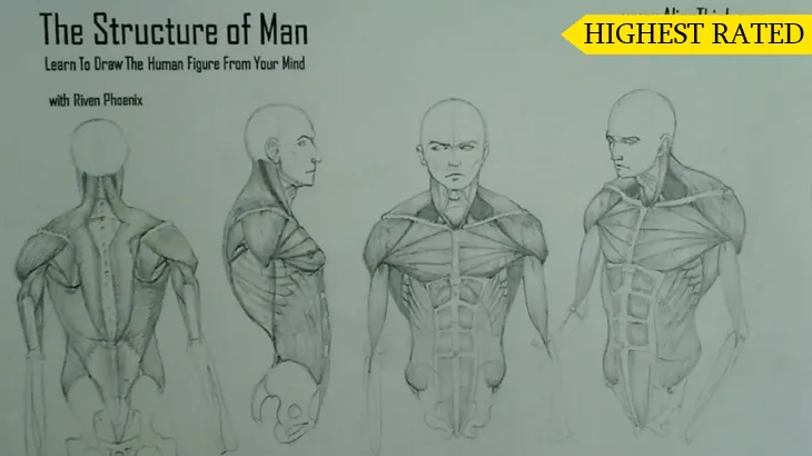 A figure drawing plate from the Riven Phoenix figure drawing course, 10 of 12