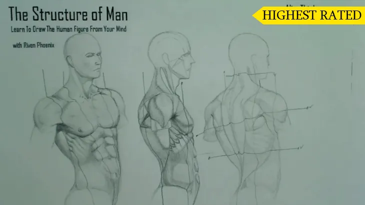 A figure drawing plate from the Riven Phoenix figure drawing course, 3 of 12