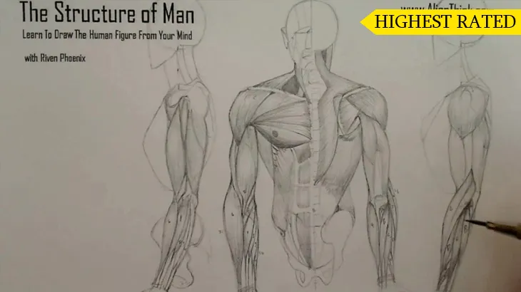 A figure drawing plate from the Riven Phoenix figure drawing course, 5 of 12