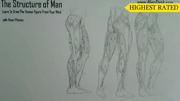 A figure drawing plate from the Riven Phoenix figure drawing course, 8 of 12