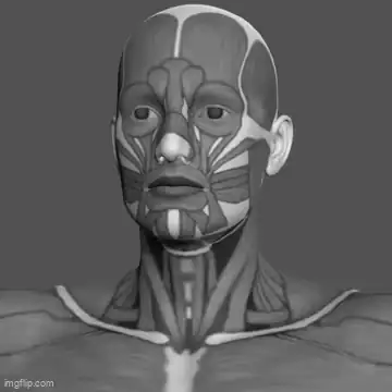 Pose Tool 3D muscle map overlay showing anatomy wrapping around a posed figure
