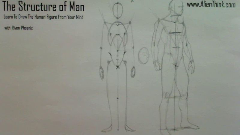 Figure Drawing - Figure Drawing Lesson 002 - Core Structure of the Human Figure - Frame 1
