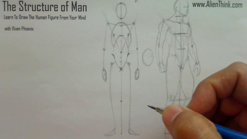 Figure Drawing - Figure Drawing Lesson 002 - Core Structure of the Human Figure - Frame 2