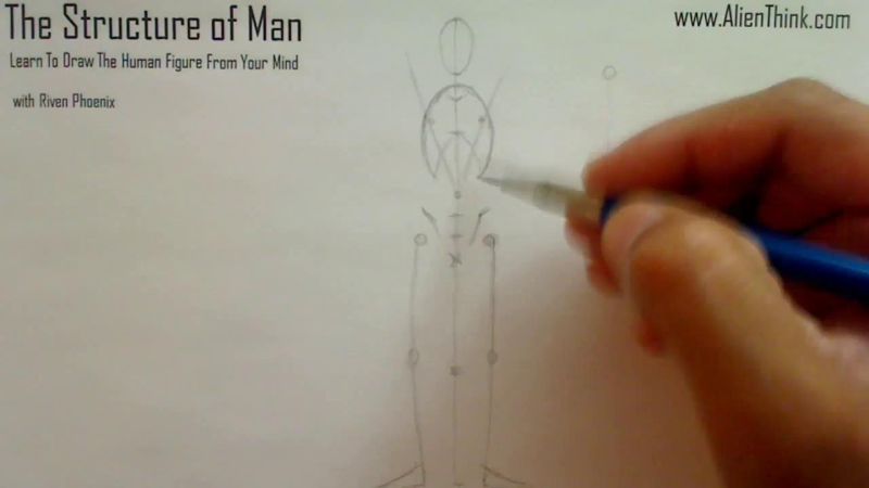 Figure Drawing - Figure Drawing Lesson 002 - Core Structure of the Human Figure - Frame 101