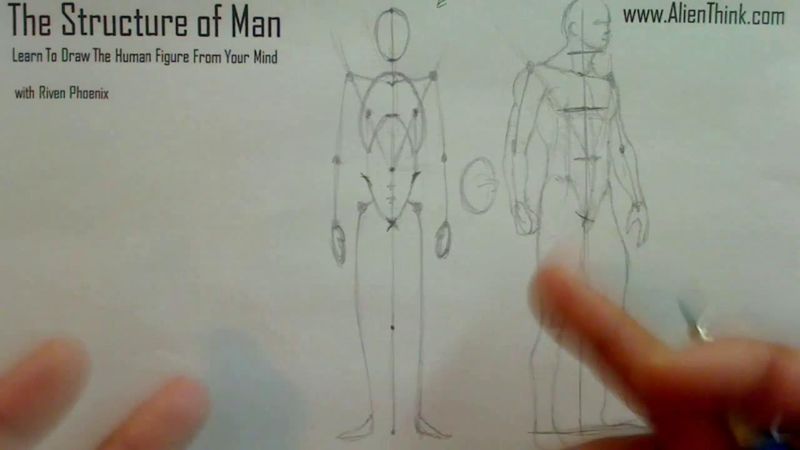 Figure Drawing - Figure Drawing Lesson 002 - Core Structure of the Human Figure - Frame 12