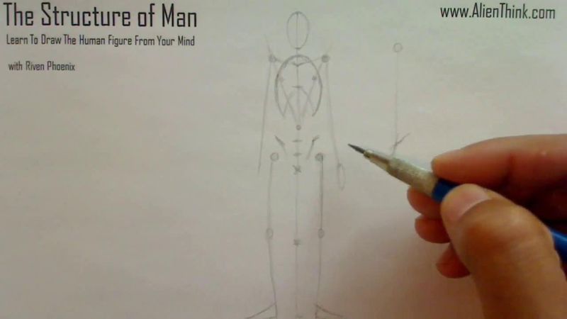Figure Drawing - Figure Drawing Lesson 002 - Core Structure of the Human Figure - Frame 116