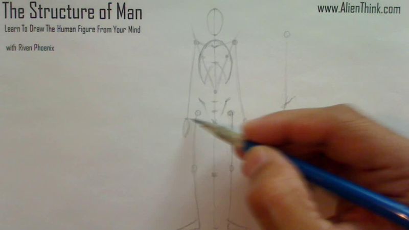 Figure Drawing - Figure Drawing Lesson 002 - Core Structure of the Human Figure - Frame 118