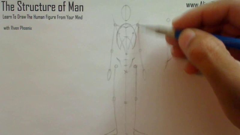 Figure Drawing - Figure Drawing Lesson 002 - Core Structure of the Human Figure - Frame 121