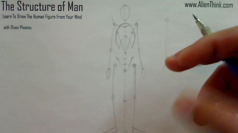 Figure Drawing - Figure Drawing Lesson 002 - Core Structure of the Human Figure - Frame 122