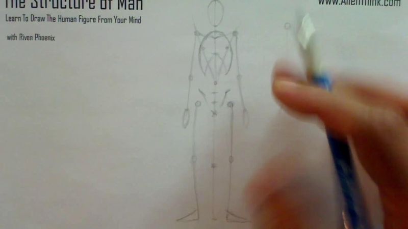 Figure Drawing - Figure Drawing Lesson 002 - Core Structure of the Human Figure - Frame 123