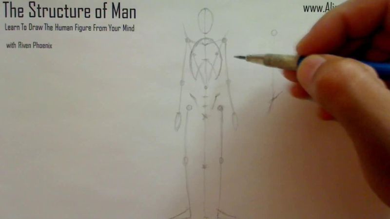 Figure Drawing - Figure Drawing Lesson 002 - Core Structure of the Human Figure - Frame 124