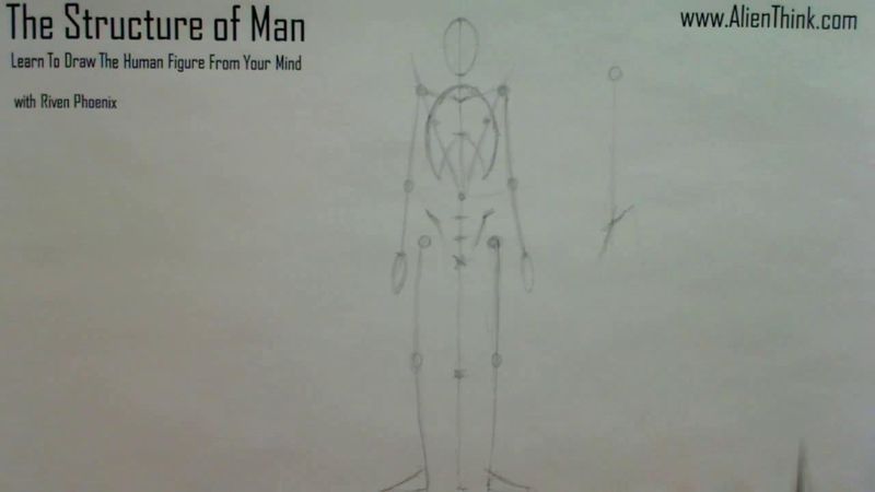 Figure Drawing - Figure Drawing Lesson 002 - Core Structure of the Human Figure - Frame 125