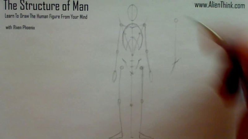 Figure Drawing - Figure Drawing Lesson 002 - Core Structure of the Human Figure - Frame 126