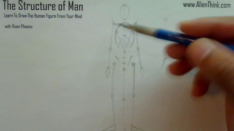 Figure Drawing - Figure Drawing Lesson 002 - Core Structure of the Human Figure - Frame 135