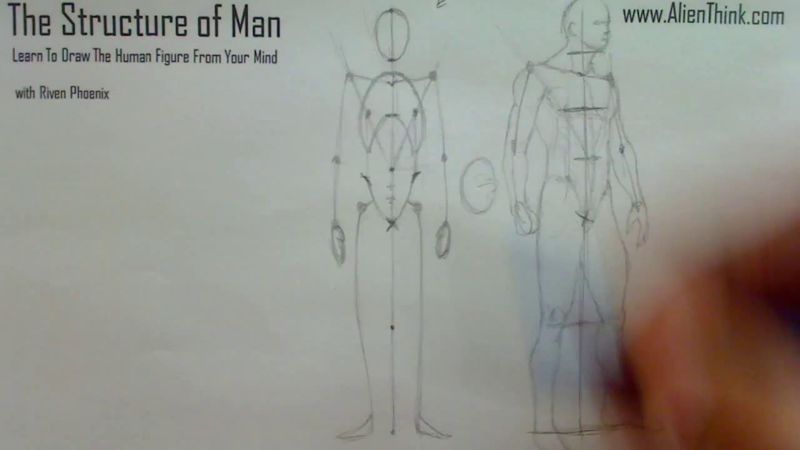 Figure Drawing - Figure Drawing Lesson 002 - Core Structure of the Human Figure - Frame 19
