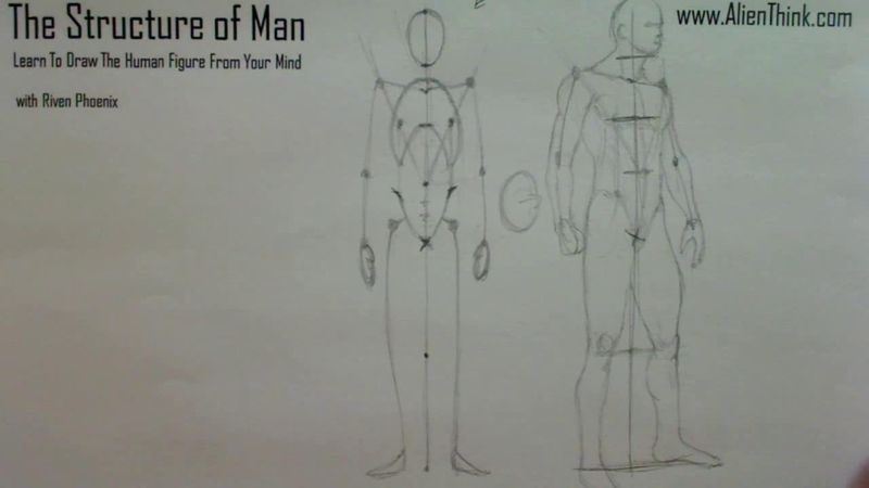 Figure Drawing - Figure Drawing Lesson 002 - Core Structure of the Human Figure - Frame 3