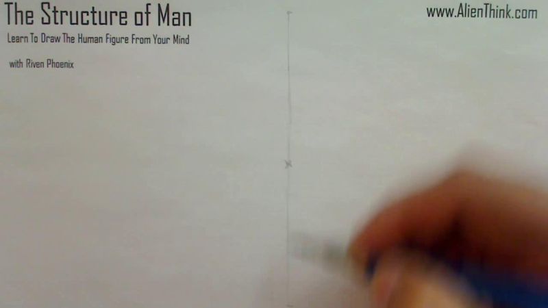 Figure Drawing - Figure Drawing Lesson 002 - Core Structure of the Human Figure - Frame 32