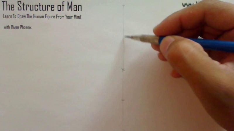 Figure Drawing - Figure Drawing Lesson 002 - Core Structure of the Human Figure - Frame 34