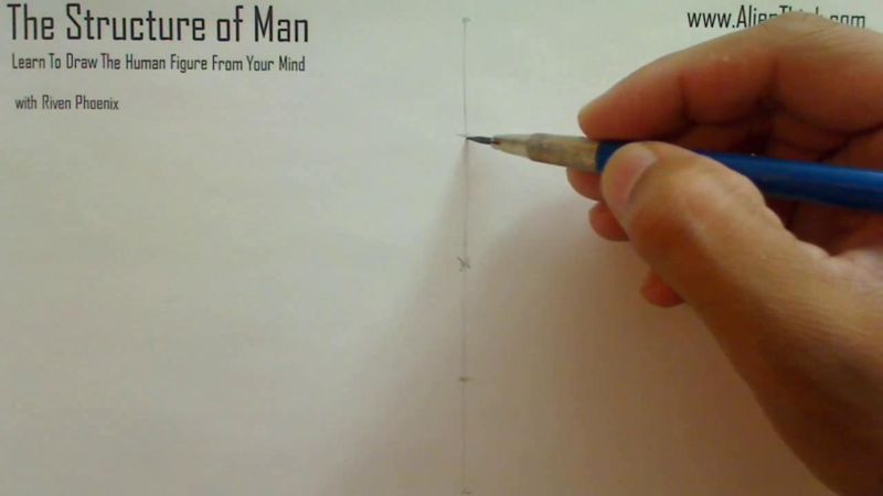 Figure Drawing - Figure Drawing Lesson 002 - Core Structure of the Human Figure - Frame 35