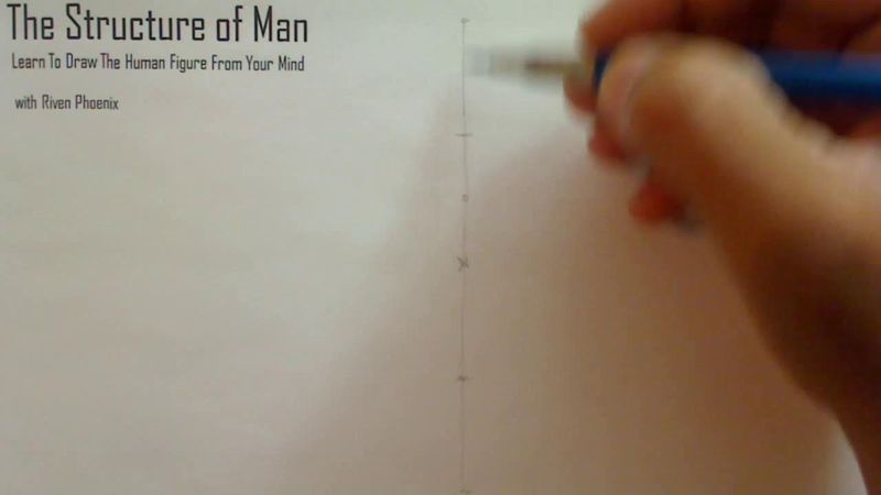 Figure Drawing - Figure Drawing Lesson 002 - Core Structure of the Human Figure - Frame 36