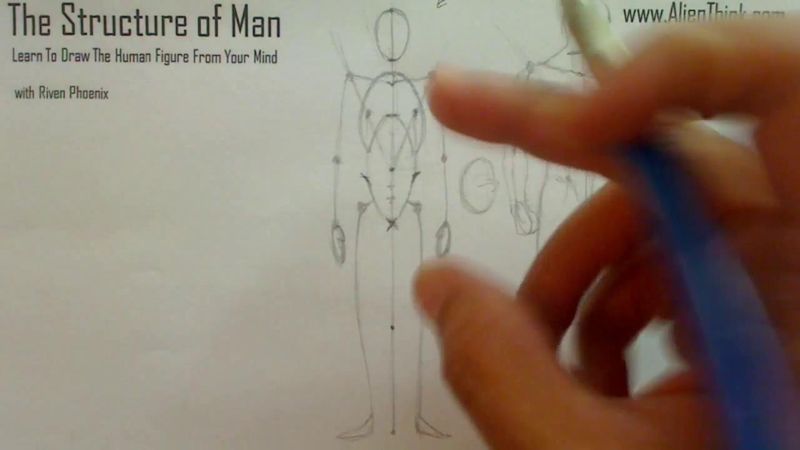 Figure Drawing - Figure Drawing Lesson 002 - Core Structure of the Human Figure - Frame 5