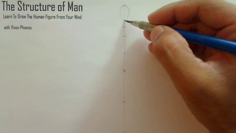 Figure Drawing - Figure Drawing Lesson 002 - Core Structure of the Human Figure - Frame 41