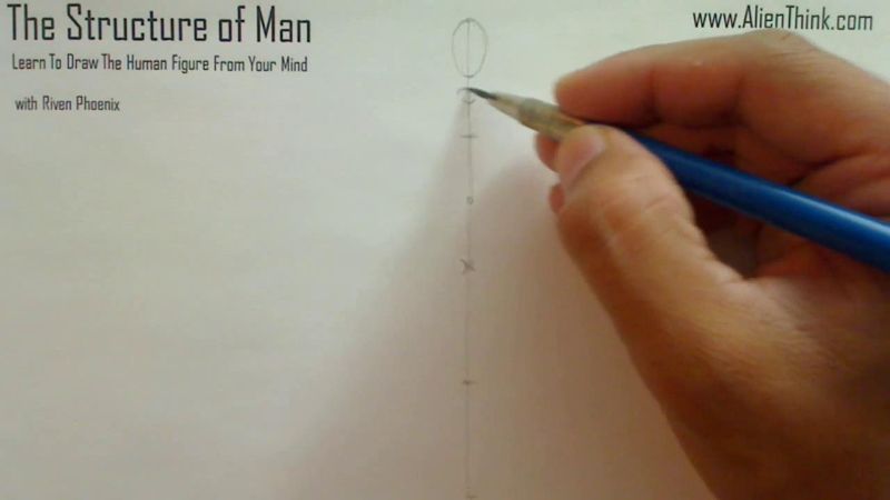 Figure Drawing - Figure Drawing Lesson 002 - Core Structure of the Human Figure - Frame 43