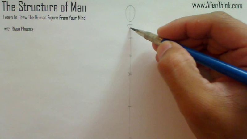 Figure Drawing - Figure Drawing Lesson 002 - Core Structure of the Human Figure - Frame 45