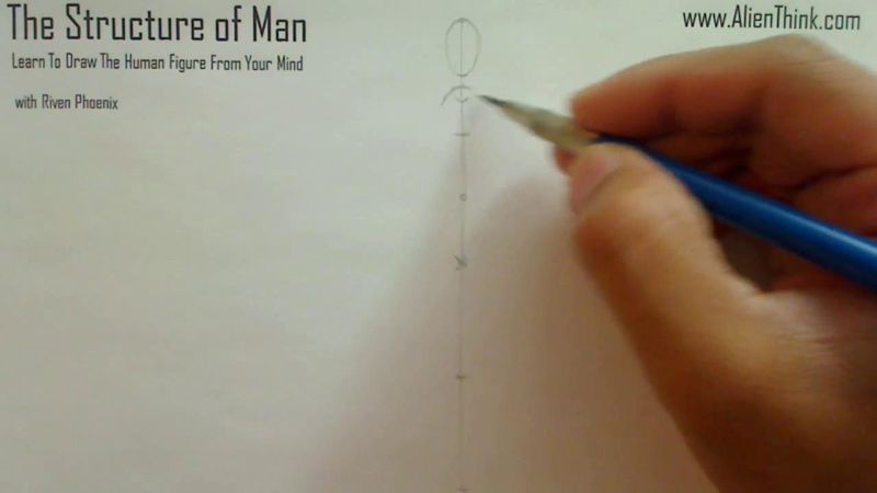 Figure Drawing - Figure Drawing Lesson 002 - Core Structure of the Human Figure - Frame 46