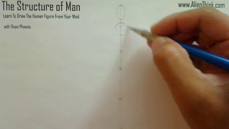 Figure Drawing - Figure Drawing Lesson 002 - Core Structure of the Human Figure - Frame 47