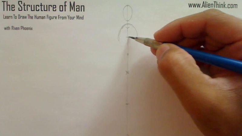 Figure Drawing - Figure Drawing Lesson 002 - Core Structure of the Human Figure - Frame 49