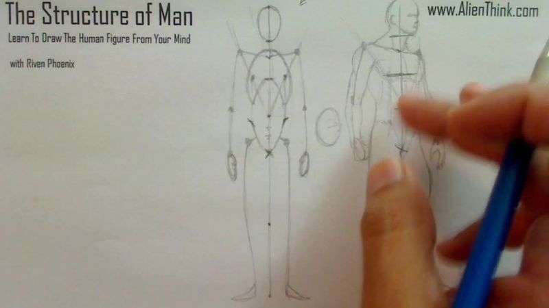 Figure Drawing - Figure Drawing Lesson 002 - Core Structure of the Human Figure - Frame 6