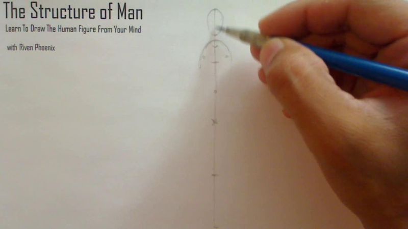 Figure Drawing - Figure Drawing Lesson 002 - Core Structure of the Human Figure - Frame 51