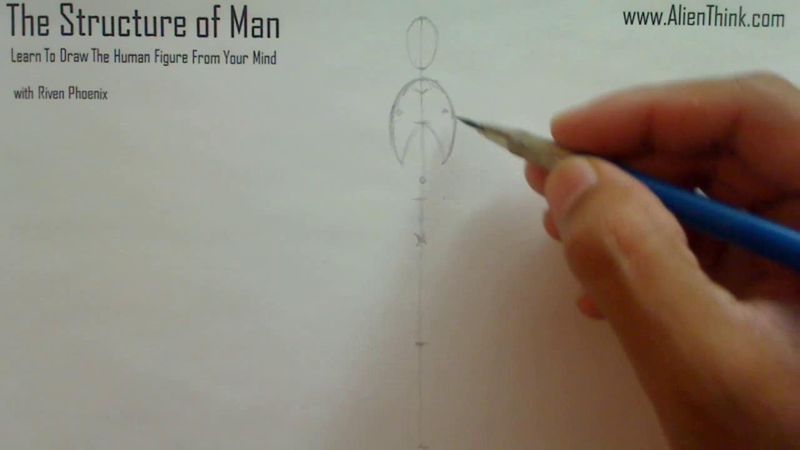 Figure Drawing - Figure Drawing Lesson 002 - Core Structure of the Human Figure - Frame 64