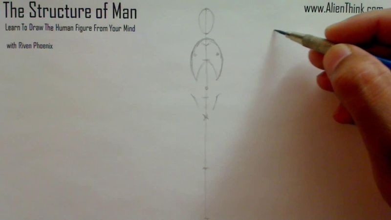 Figure Drawing - Figure Drawing Lesson 002 - Core Structure of the Human Figure - Frame 68