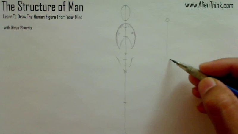 Figure Drawing - Figure Drawing Lesson 002 - Core Structure of the Human Figure - Frame 70