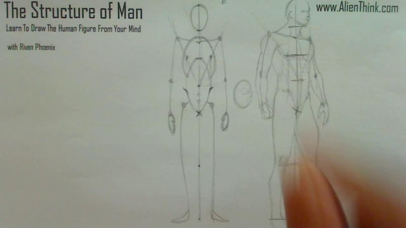 Figure Drawing - Figure Drawing Lesson 002 - Core Structure of the Human Figure - Frame 8
