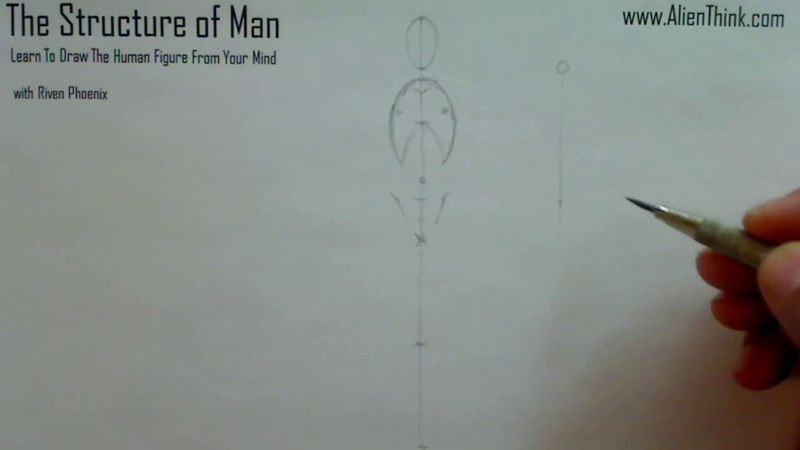 Figure Drawing - Figure Drawing Lesson 002 - Core Structure of the Human Figure - Frame 71