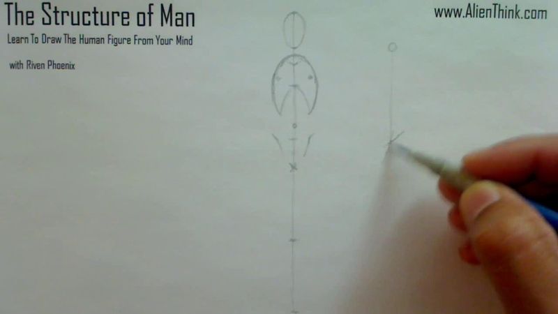 Figure Drawing - Figure Drawing Lesson 002 - Core Structure of the Human Figure - Frame 72