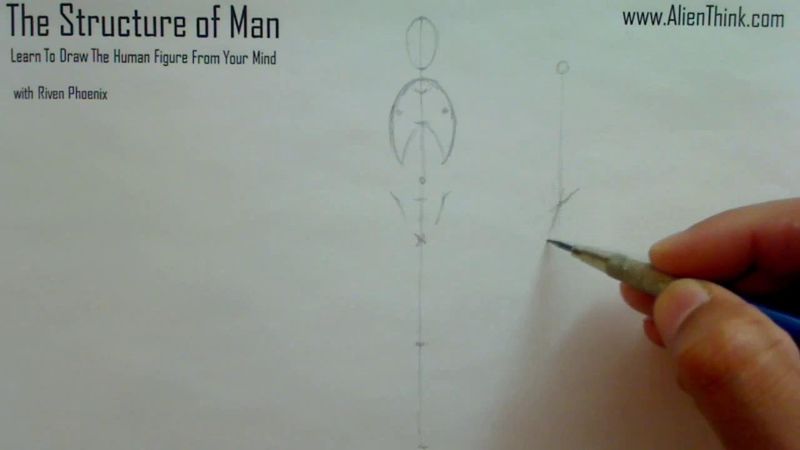 Figure Drawing - Figure Drawing Lesson 002 - Core Structure of the Human Figure - Frame 73