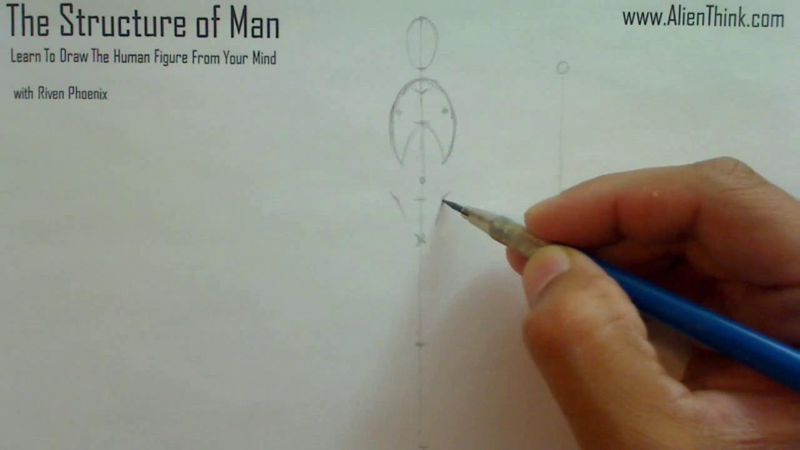 Figure Drawing - Figure Drawing Lesson 002 - Core Structure of the Human Figure - Frame 74