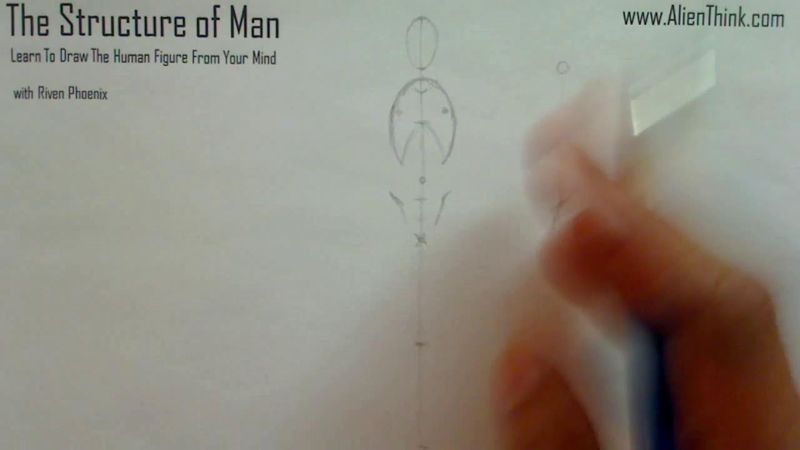 Figure Drawing - Figure Drawing Lesson 002 - Core Structure of the Human Figure - Frame 77