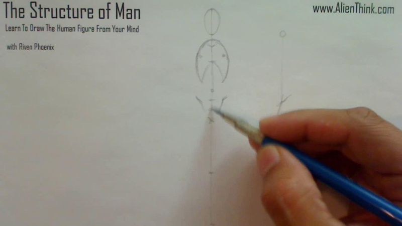 Figure Drawing - Figure Drawing Lesson 002 - Core Structure of the Human Figure - Frame 80