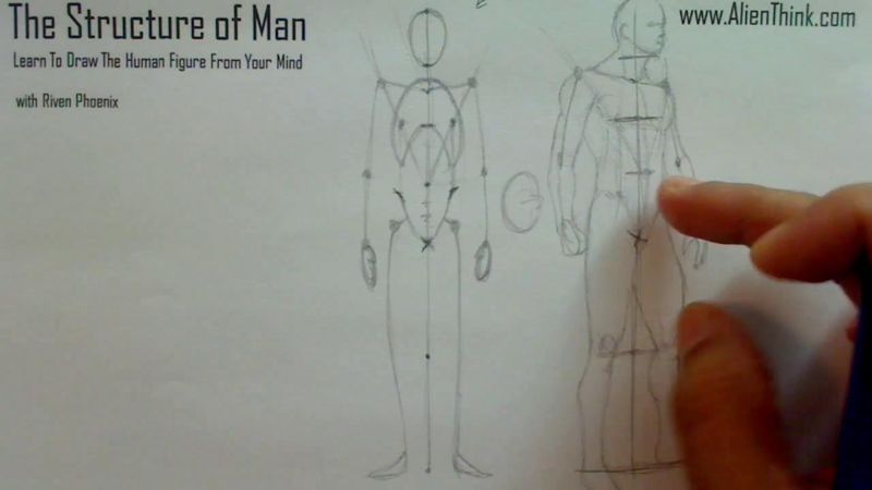 Figure Drawing - Figure Drawing Lesson 002 - Core Structure of the Human Figure - Frame 9