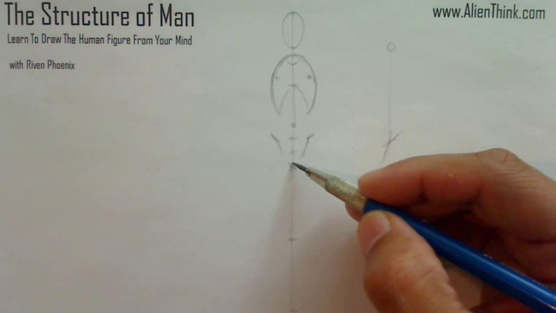 Figure Drawing - Figure Drawing Lesson 002 - Core Structure of the Human Figure - Frame 81