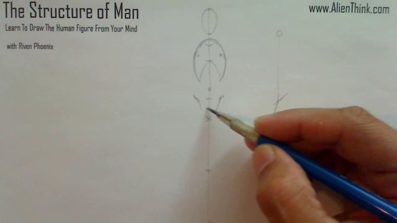 Figure Drawing - Figure Drawing Lesson 002 - Core Structure of the Human Figure - Frame 82