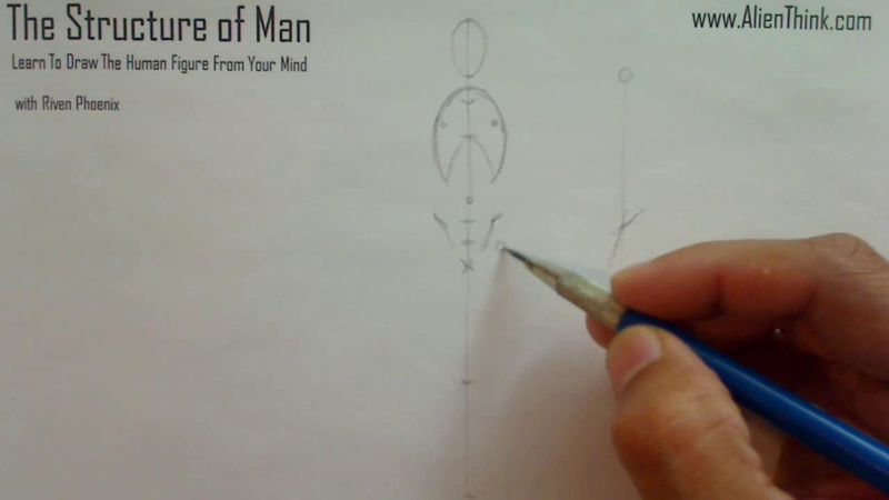 Figure Drawing - Figure Drawing Lesson 002 - Core Structure of the Human Figure - Frame 83