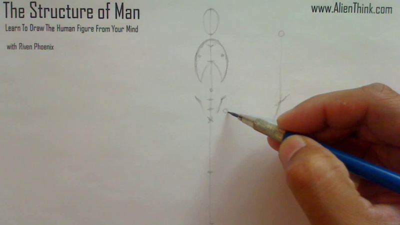 Figure Drawing - Figure Drawing Lesson 002 - Core Structure of the Human Figure - Frame 84